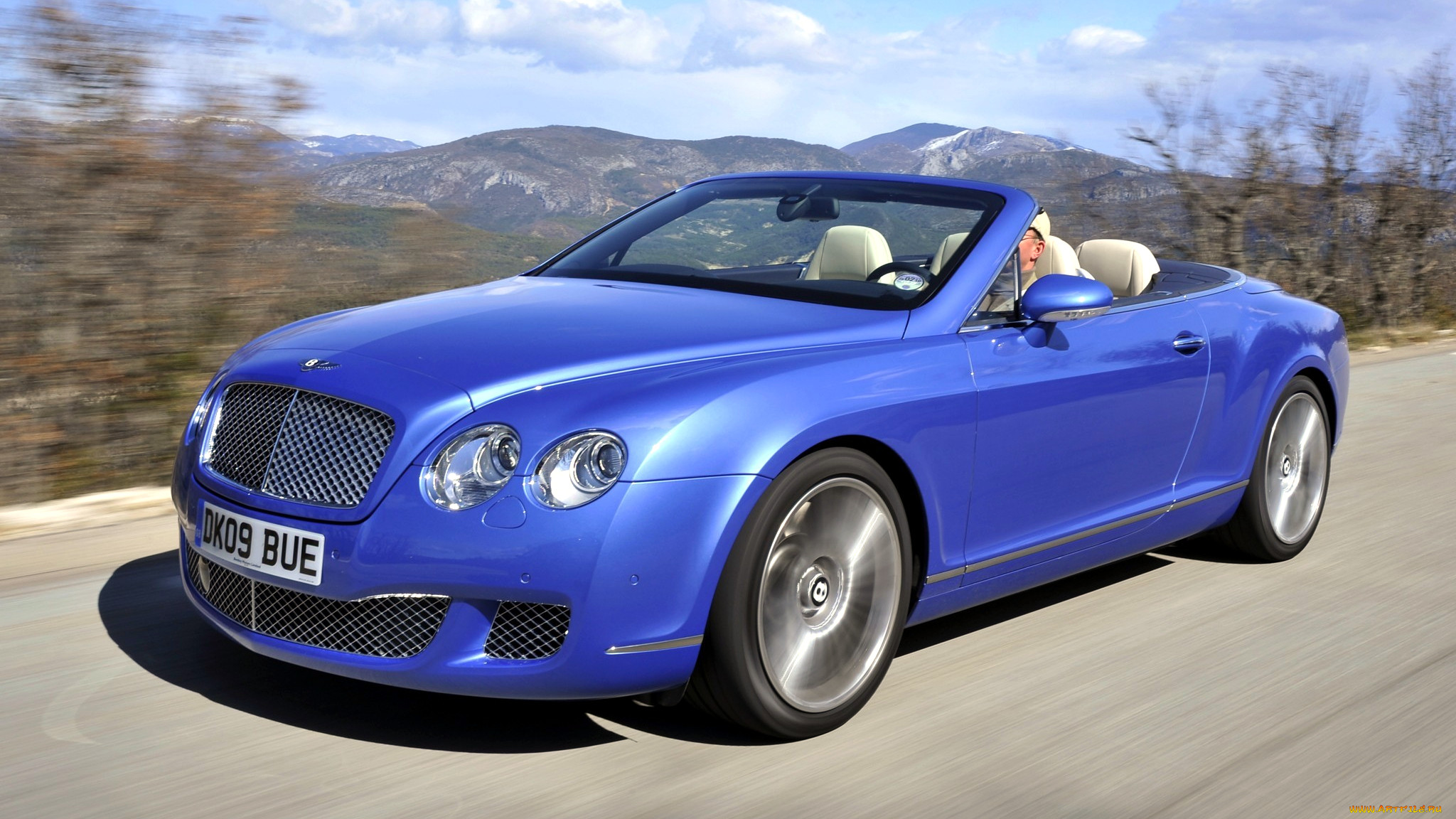 bentley, continental, gc, , , -, , motors